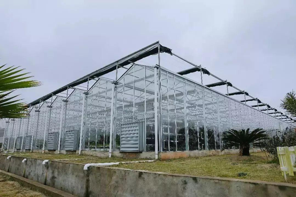 连栋温室大棚